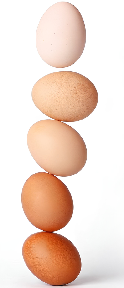 Egg Tower