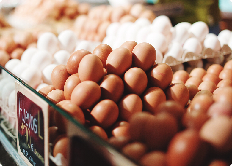 The Art of Egg Cooking: Perfecting the Poached & Omelet Essentials