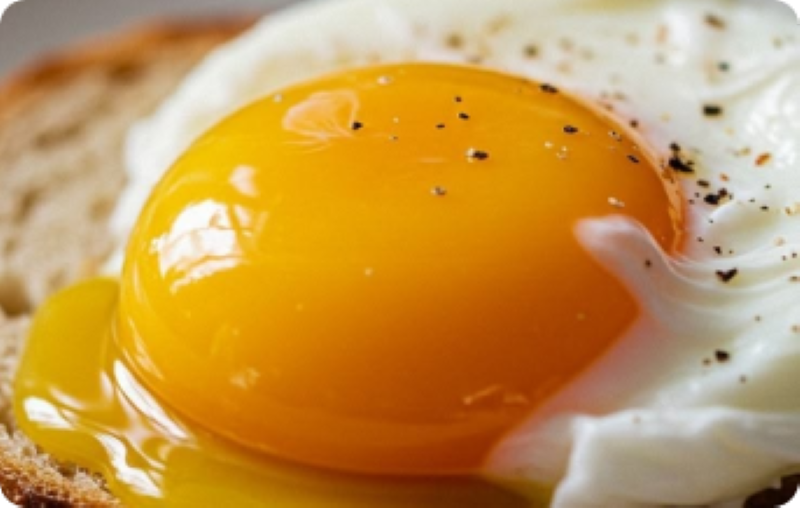 Sustainable Egg Farming