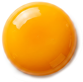Egg Yolk